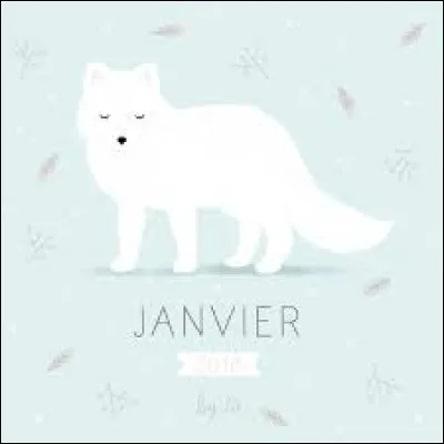 Comment dit-on "janvier" ?