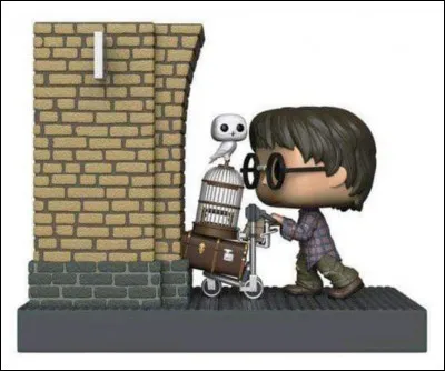 &Agrave; quelle famille s'est adress&eacute; ce gar&ccedil;on pour trouver la voie 9 3/4 ?