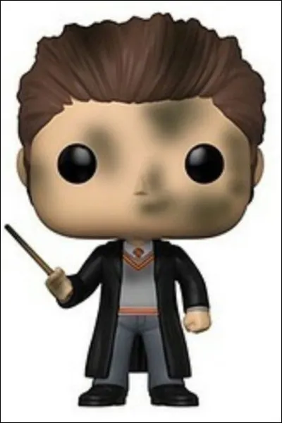 Et voil&agrave; Seamus Finnigan, dans quel cours &eacute;tait-il pour avoir une t&ecirc;te comme &ccedil;a ?