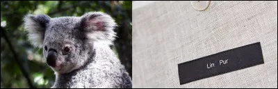 Pour finir, soyez balèze...