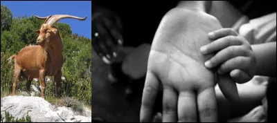 Et là, si vous n'êtes pas encore devenu(e) chèvre, où êtes-vous ?