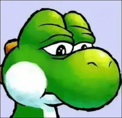 Les gens du Commewijne n'étaient pas très accueillants, Yoshi est triste. Pour oublier ça et s'amuser un peu, il se rend dans un des parcs d'attractions les plus connus au monde, l'Europa Park. Dans quel pays est situé ce parc ?