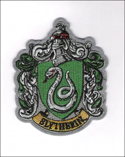 Sur quoi donne la salle commune de Serpentard ?