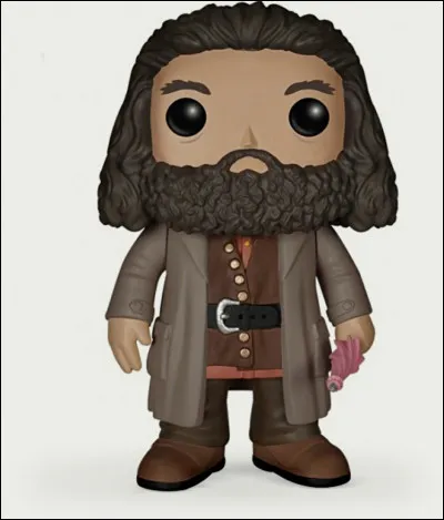 Dans le parapluie rose de Hagrid est enfermé quelque chose. Qu'est-ce que c'est ?