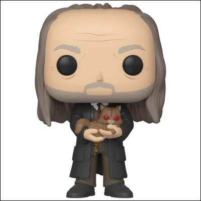 Quel est le nom du chat de Rusard ?