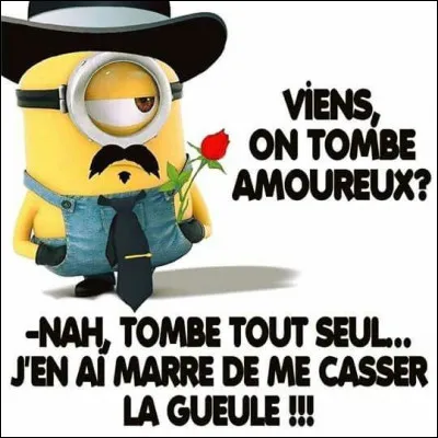 Que se passe-t-il si vous tombez amoureux ?