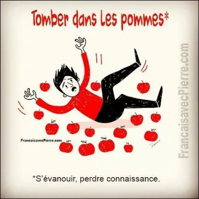 Je suis tellement surprise de votre réaction que j'en tombe sur le cul ! On me reprend, ce n'est pas très poli, alors, selon les convenances je rectifie :