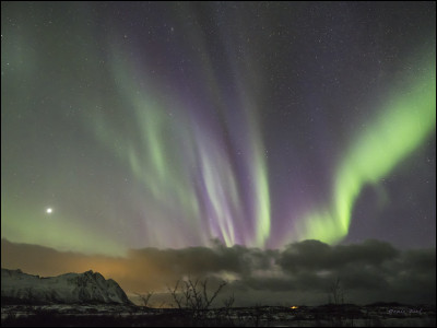 Si je vous montre cette image, à quel personnage Disney pensez-vous ?