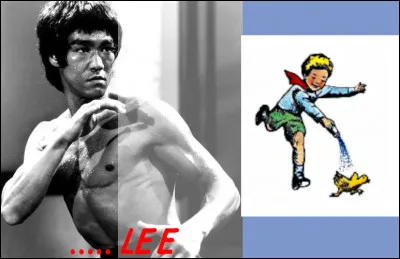 Soit elle met son grain partout, soit on y fait la politique de l'Autriche !