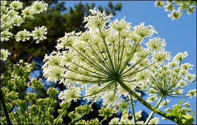 Pour trouver le nom de ce personnage, aidez-vous et ... le ciel vous aidera !