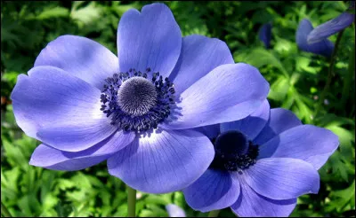 Vous l'avez vue dans ce film !