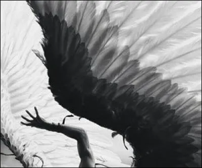 Vous &ecirc;tes un ange et, apr&egrave;s une erreur commise, on vous retire vos ailes. Que faites-vous ?