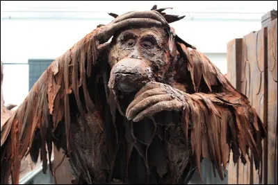 Tu as le choix entre trois réponses !