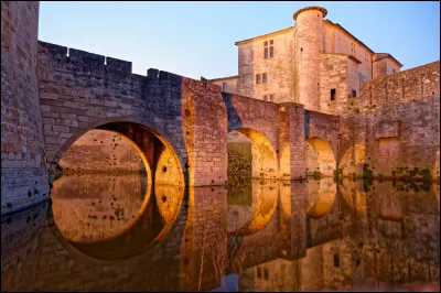Dans quel département la ville d'Aigues-Mortes est-elle située ?