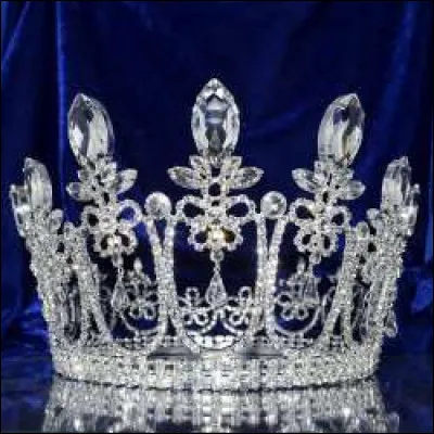 Dans "Le Petit Prince" de Saint-Exupéry, pourquoi le roi, sur sa planète est-il obéi de tous ces sujets ?