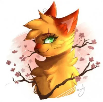 Le place de Nuage Noir est :