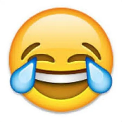 Ton rire est plutôt : (je sais c'est une question bizarre ! : ) )