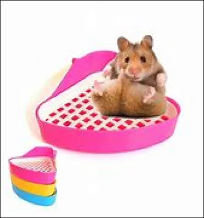 Qui sent le plus fort ?