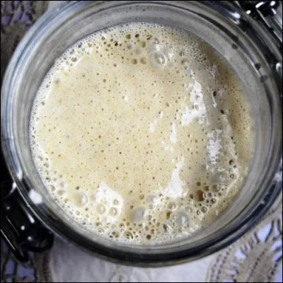Quel terme d&eacute;signe une p&acirc;te obtenue par une culture symbiotique se d&eacute;veloppant dans un m&eacute;lange de farine et d'eau ?