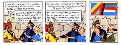 Et tout est bien qui finit bien, comme d'hab ! Et Tournesol de jurer, lui-aussi... Mais que promet-il, au juste ?