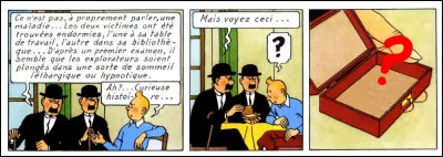 Pour une fois, les Dupondt sont sérieux : que montrent-ils à Tintin ?