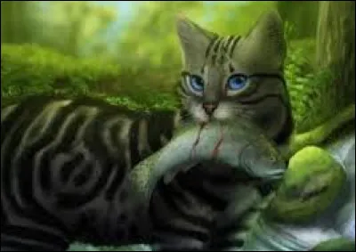 Combien de petits Rivi&egrave;re d'Argent a-t-elle eus avec Plume Grise ?