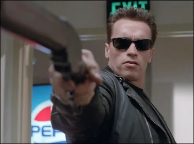 Quel est le personnage qu'Arnold Schwarzenegger interprète sur cette image ?