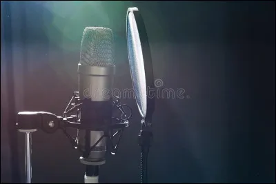 Connais-tu bien les voix françaises de "Shrek" ? Qui a fait un doublage dans le premier film ?