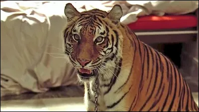 T'es littéralement trop con pour qu'on t'insulte !