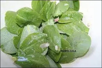 Une salade de pourpier remplace-t-elle le bromure ?