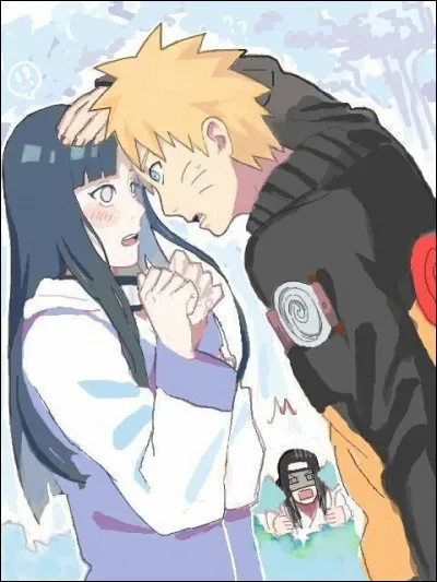 Qu'est-ce le NaruHina pour toi ?