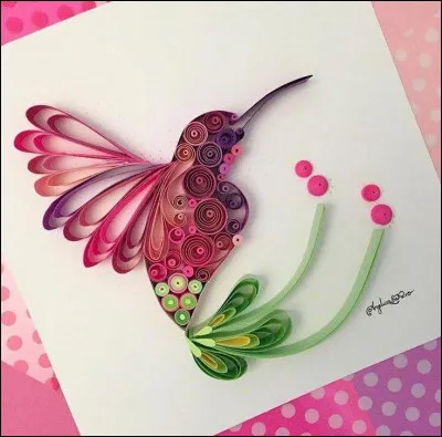 Quel est cet oiseau ?