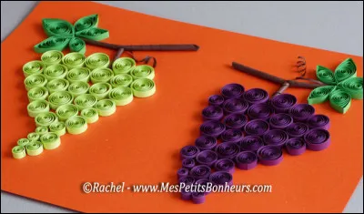 Sur quoi pousse le raisin ?