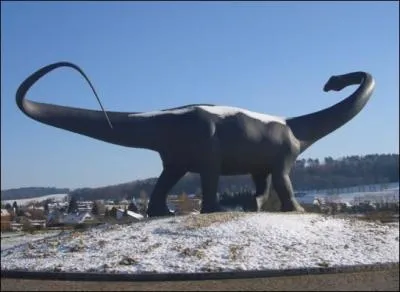 Est-ce un diplodocus ?