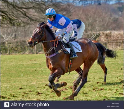 Quelle est cette discipline équestre ?