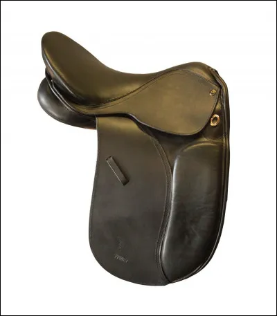 Quel est ce type de selle ?