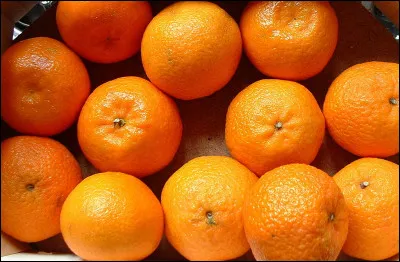 Qui fut pape de 1730 à 1740 ?