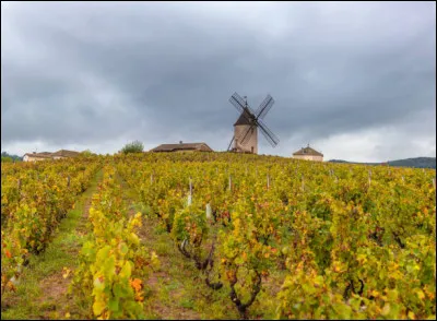 Le vignoble du Beaujolais s'&eacute;tend du sud de M&acirc;con jusqu'au nord de Lyon, mais sur combien d'hectares ?