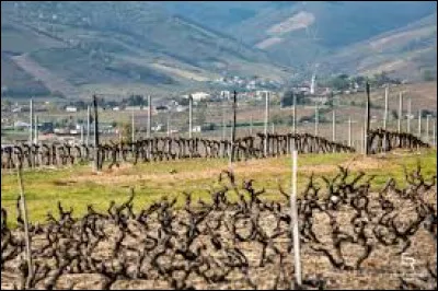 Il a fallu dix ans aux 120 vignerons d'une petite commune du Beaujolais pour faire reconna&icirc;tre les sp&eacute;cificit&eacute;s de leur cru, quel est le nom de cette petite commune et du cru ?