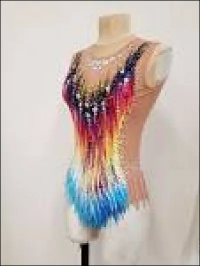 Comment s'appelle la tenue de compétition des gymnastes ?