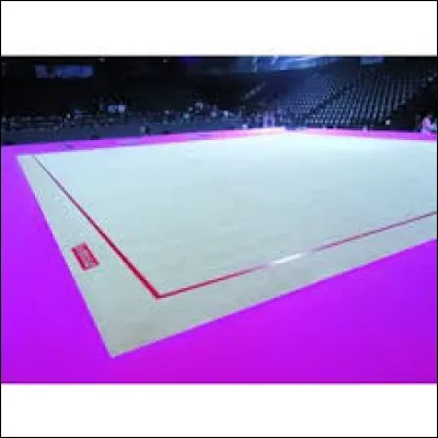 Comment s'appelle le tapis sur lequel évoluent les gymnastes à la GR ?