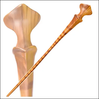 À qui appartient cette baguette ?