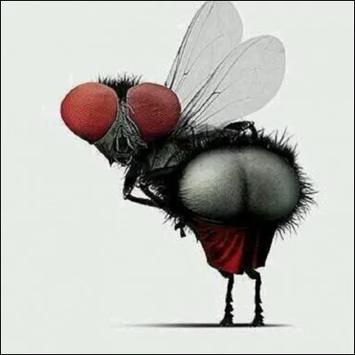 Et celui du ''bébé'' mouche, il ne faut pas l'oublier, c'est...