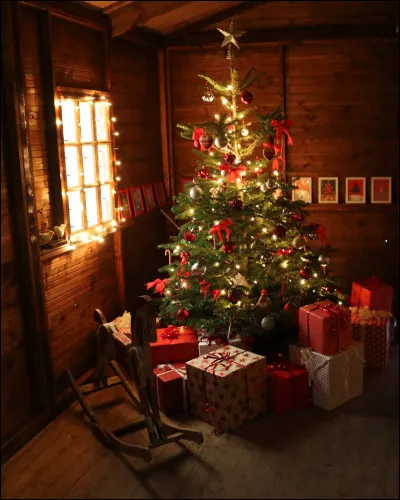 Avec qui Albus va-t-il au bal de Noël ?