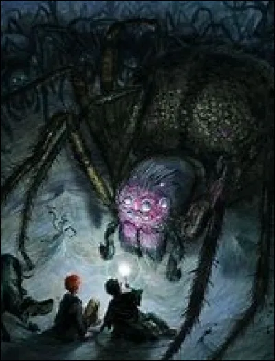 Aragog a 8 yeux. Que voit-elle ?