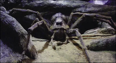 À quelle espèce d'araignée appartient Aragog ?