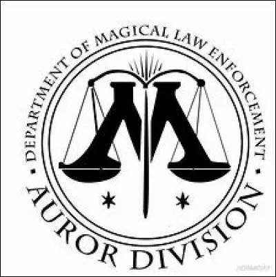 Quelle est sa classification du Ministère de la Magie ?