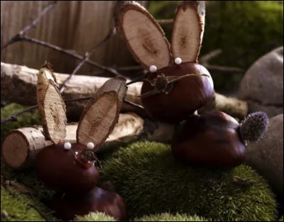 Et lui, comment s'appelle-t-il, toujours dans le film Disney cité un peu plus haut !