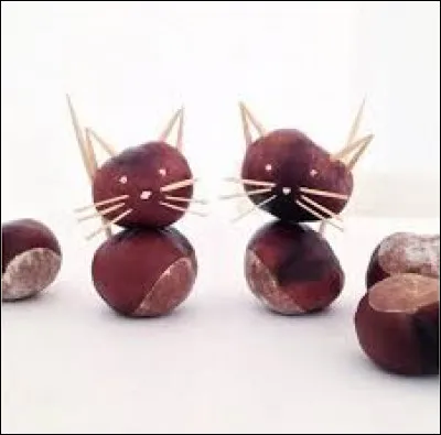 Trouve le nom de ces animaux !