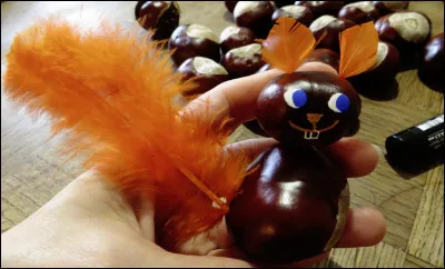 Celui de chez nous, en France, est roux !